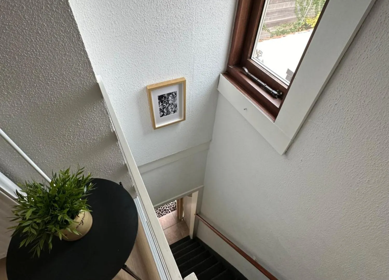 Ferienhaus Cosy Home Zandvoort
